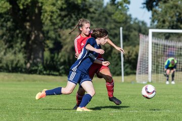 Bild 148 - Frauen SV Wahlstedt - ATSV Stockelsdorf : Ergebnis: 2:2